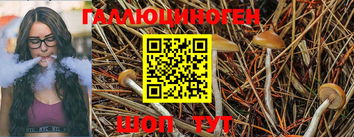 Галлюциногенные грибы GOLDEN TEACHER Казань