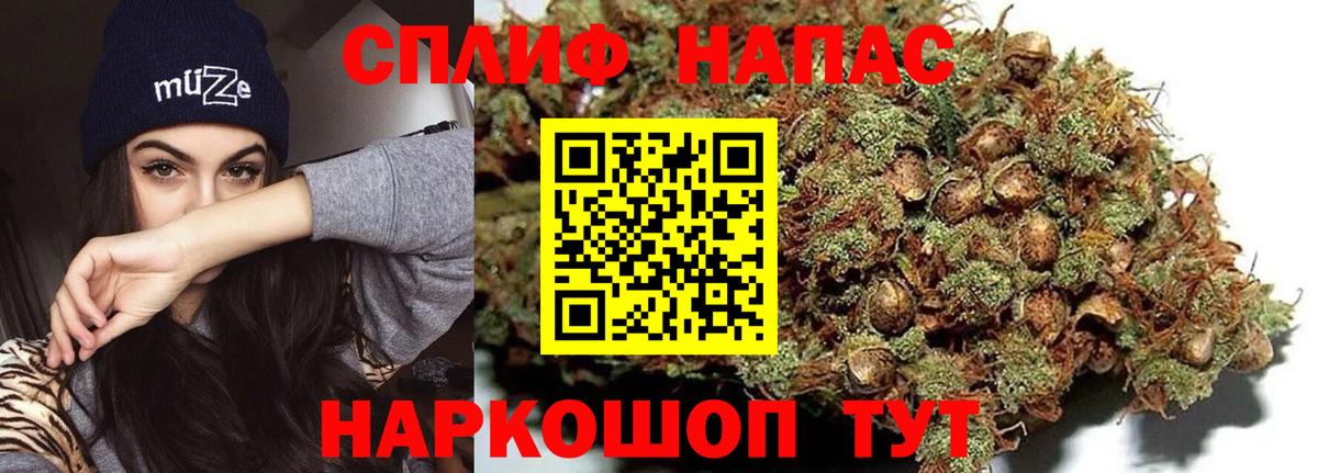 Шишки марихуана планчик  Вход с VPN  Шишки марихуана ГИДРОПОН  Бошки марихуана конопля  Казань 
